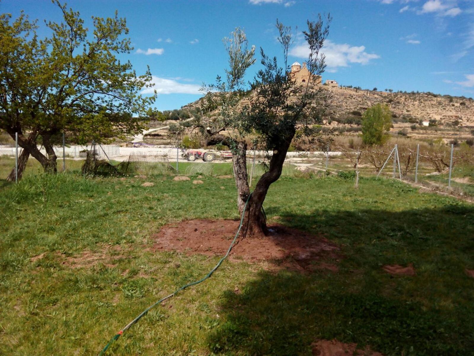 Mazaleon Chalet Marina מראה חיצוני תמונה