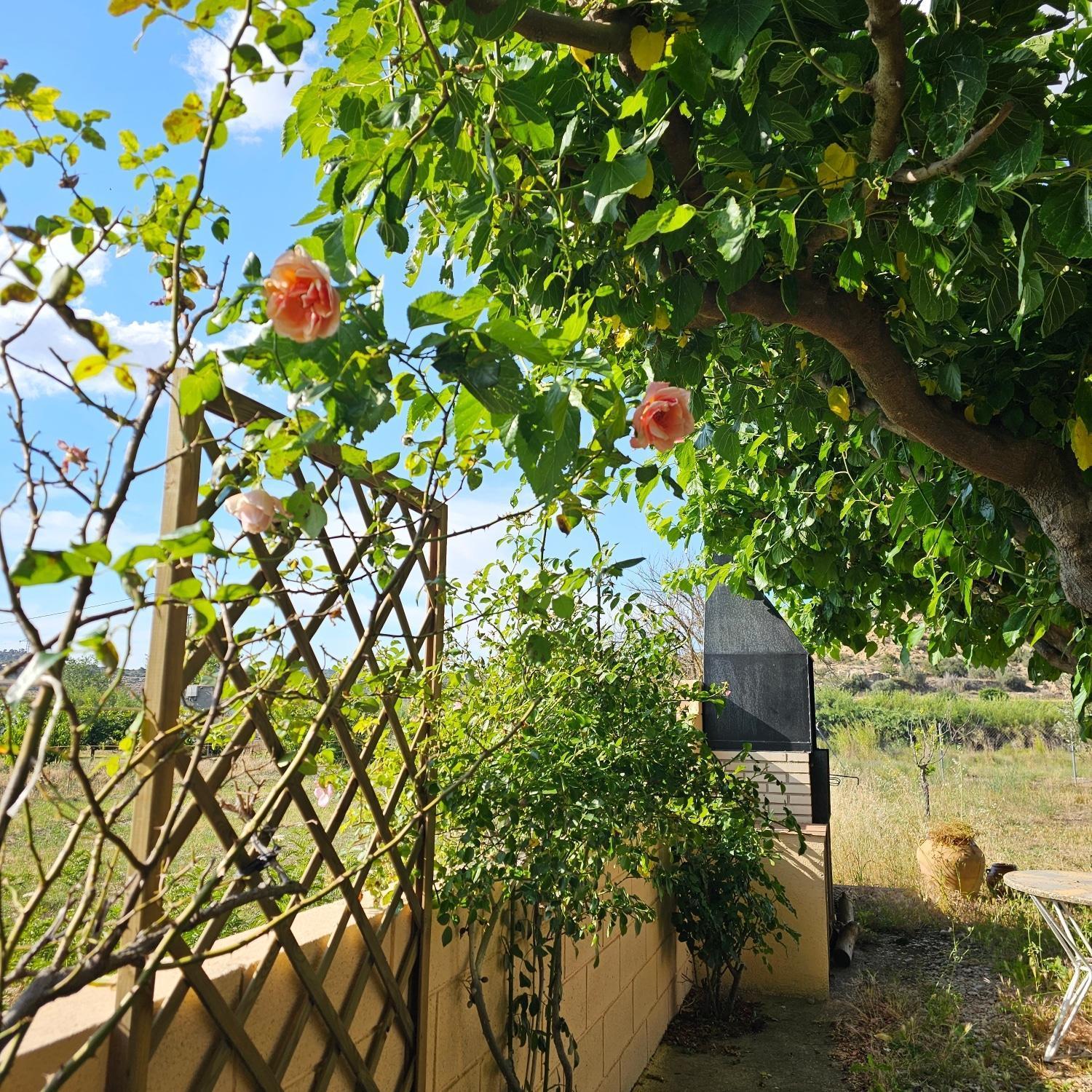 Mazaleon Chalet Marina מראה חיצוני תמונה